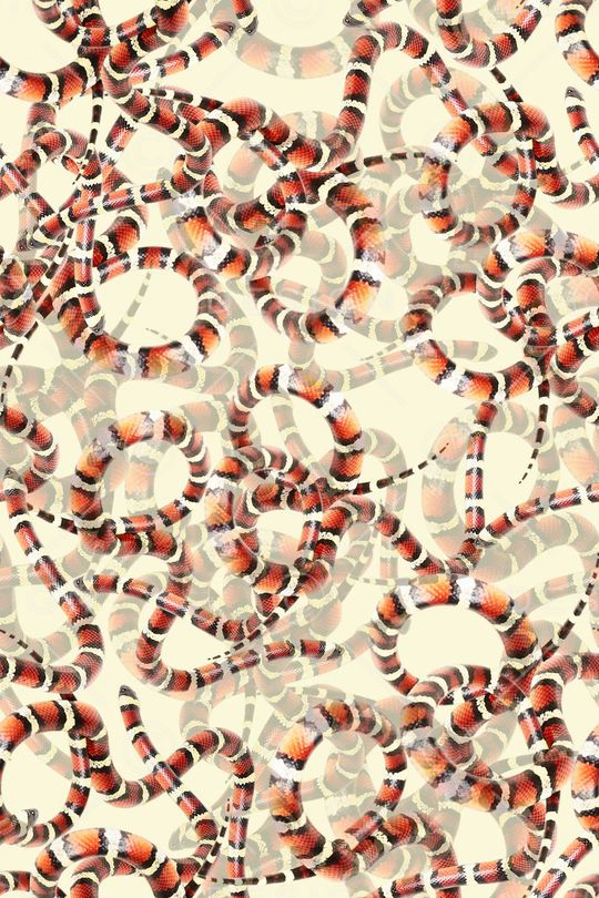 女装印花华亿平台图片