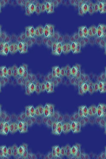 647565-10153ztkf 巴西（女装）2