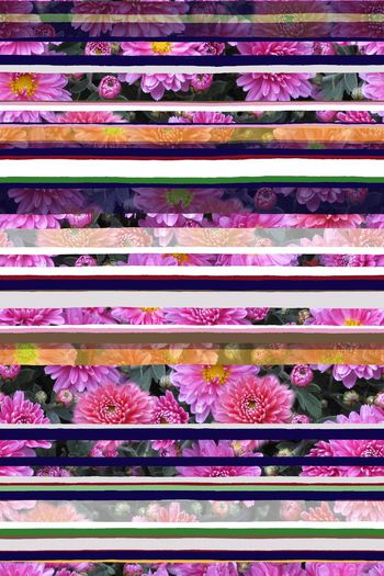 647578-写实错位花卉 时尚条纹