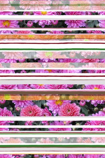 647579-写实错位花卉 时尚条纹--2