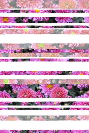 花朵印花华亿平台图片