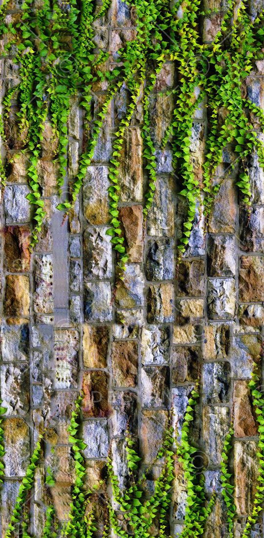 colorise印花华亿平台图片