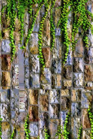 colorise印花华亿平台图片