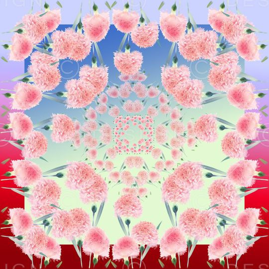 丝巾围巾秀场印花华亿平台图片