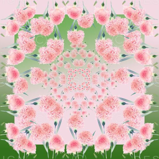 丝巾围巾秀场印花华亿平台图片