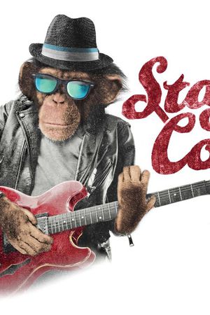 猴子印花华亿平台图片