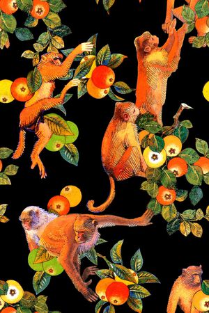 猴子印花华亿平台图片