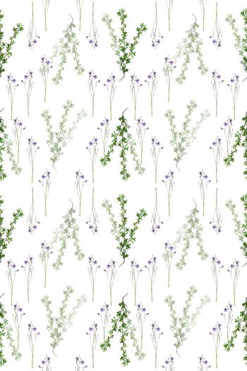 648099-160611-qx-2-1