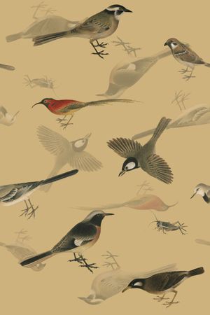 工笔画印花华亿平台图片