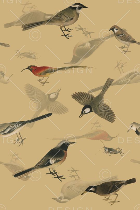 工笔画印花华亿平台图片