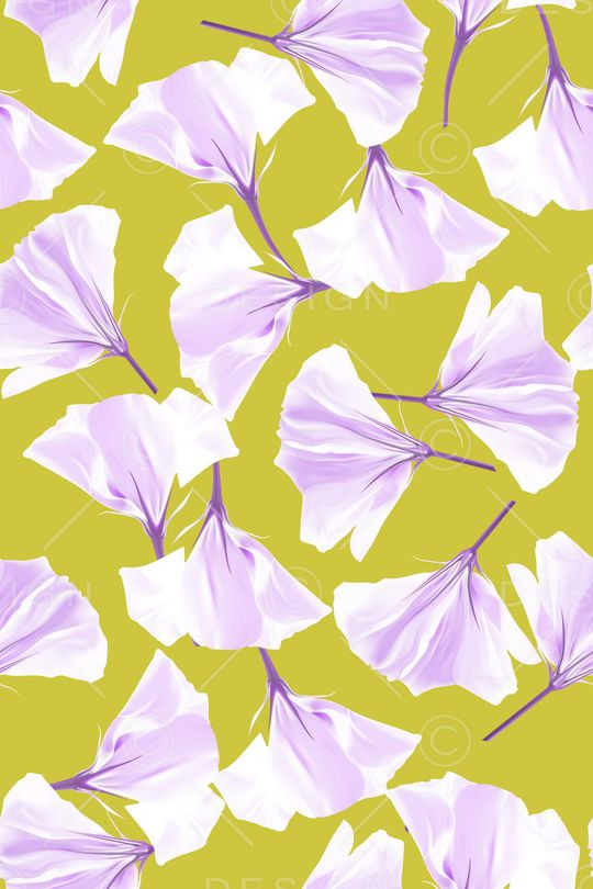 花瓣印花华亿平台图片