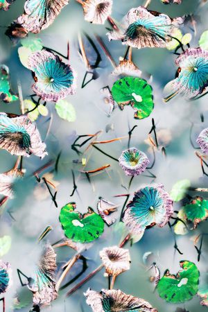 清爽印花华亿平台图片