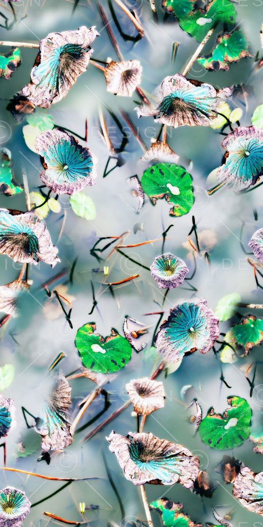 清爽印花华亿平台图片