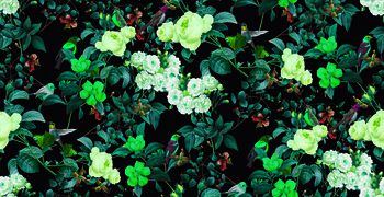 648279-复古花朵--a