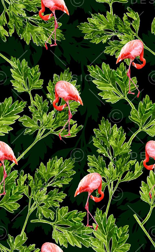 泳装印花华亿平台图片