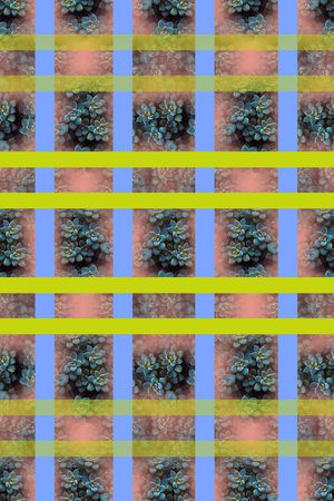 热带植物印花华亿平台图片