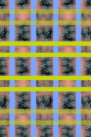 648346-10171ztkf 巴西（男装）2