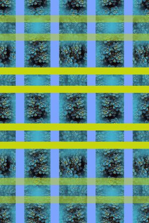 热带植物印花华亿平台图片