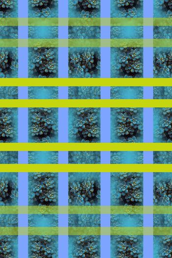 648347-10171ztkf 巴西（男装）2