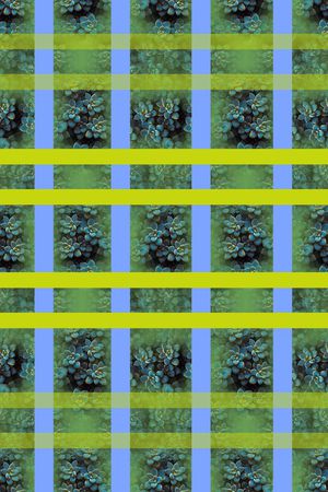 热带植物印花华亿平台图片