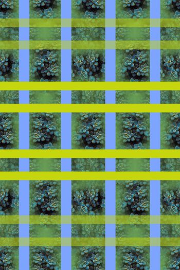 648348-10171ztkf 巴西（男装）2