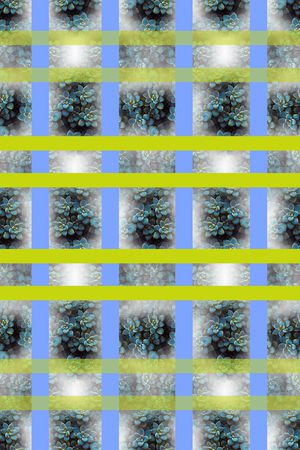 热带植物印花华亿平台图片