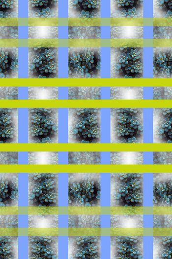 648349-10171ztkf 巴西（男装）2