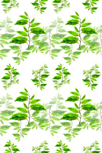 648401-10171ztkf 巴西（男装）2