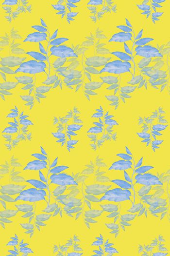 648402-10171ztkf 巴西（男装）2