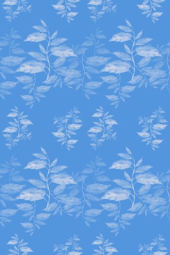 648403-10171ztkf 巴西（男装）2