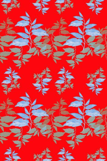 648405-10171ztkf 巴西（男装）2