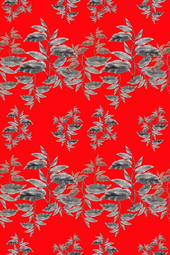 648406-10171ztkf 巴西（男装）2