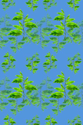 648409-10171ztkf 巴西（男装）2