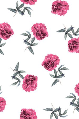 女装印花华亿平台图片