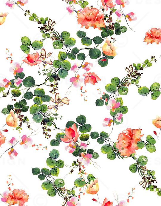 荷花印花华亿平台图片