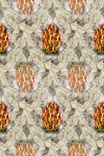 648514-10171ztkf 巴西（男装）2