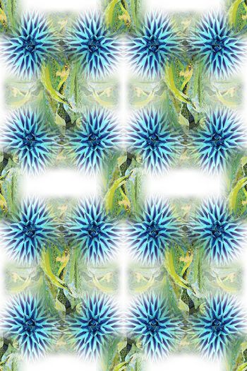 648559-10171ztkf 巴西（男装）2