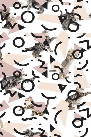 可爱猫咪印花华亿平台图片