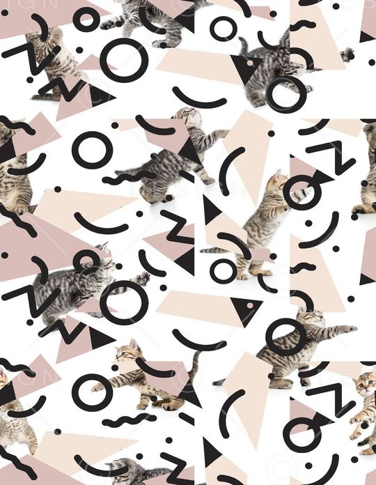 可爱猫咪印花华亿平台图片