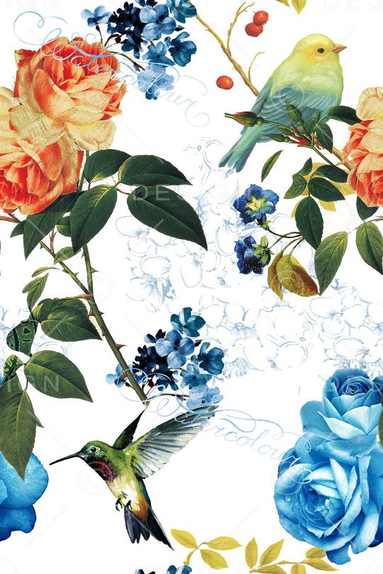 鸟印花华亿平台图片