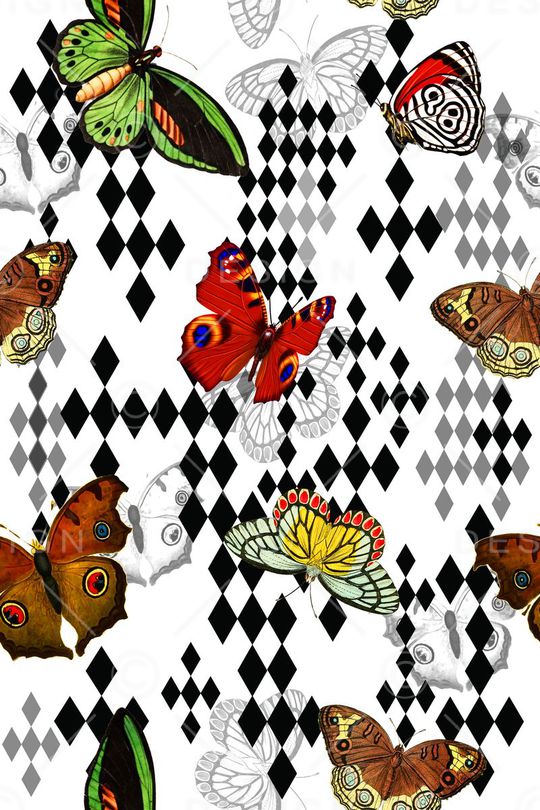 蝴蝶印花华亿平台图片