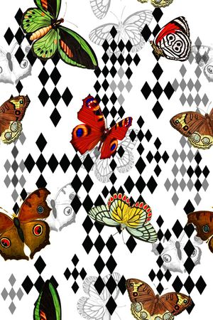 蝴蝶印花华亿平台图片