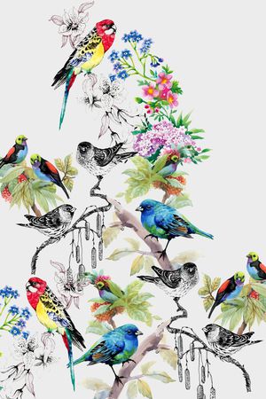 花鸟印花华亿平台图片