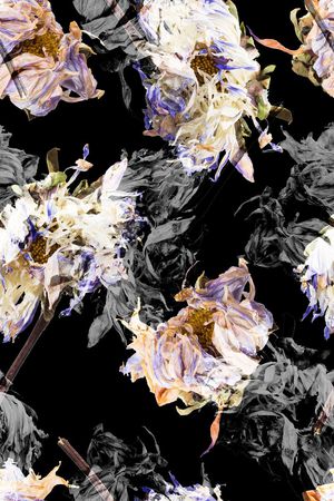 黑底印花华亿平台图片