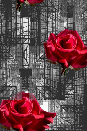 玫瑰花印花华亿平台图片