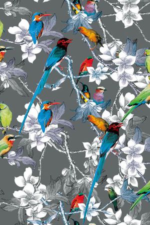 杜嘉班纳印花华亿平台图片