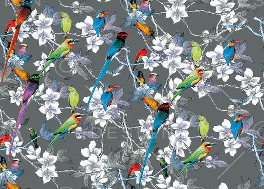 杜嘉班纳印花华亿平台图片