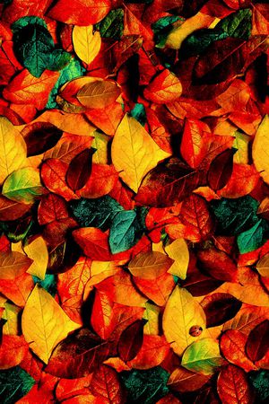 秋意印花华亿平台图片