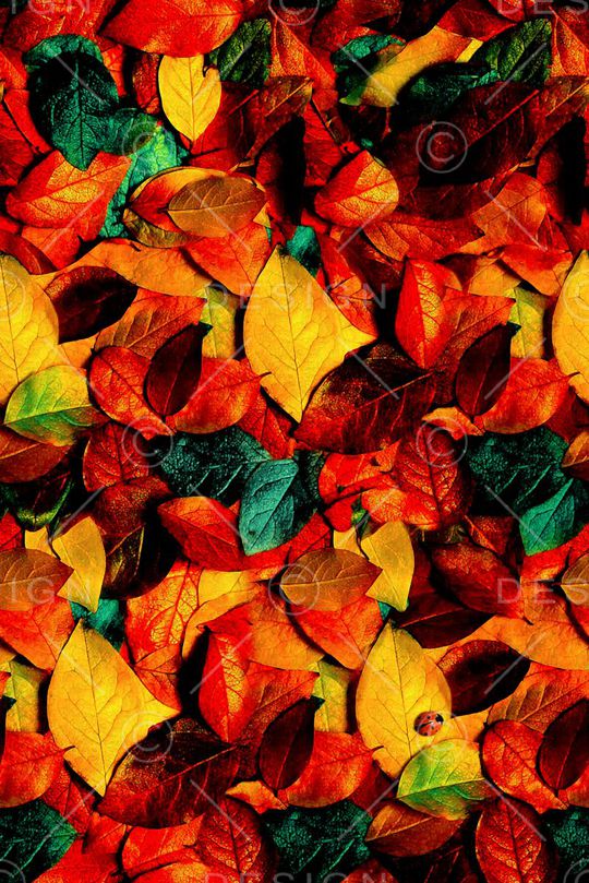 秋意印花华亿平台图片