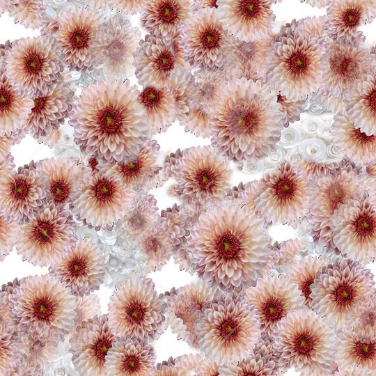 colorfull印花华亿平台图片